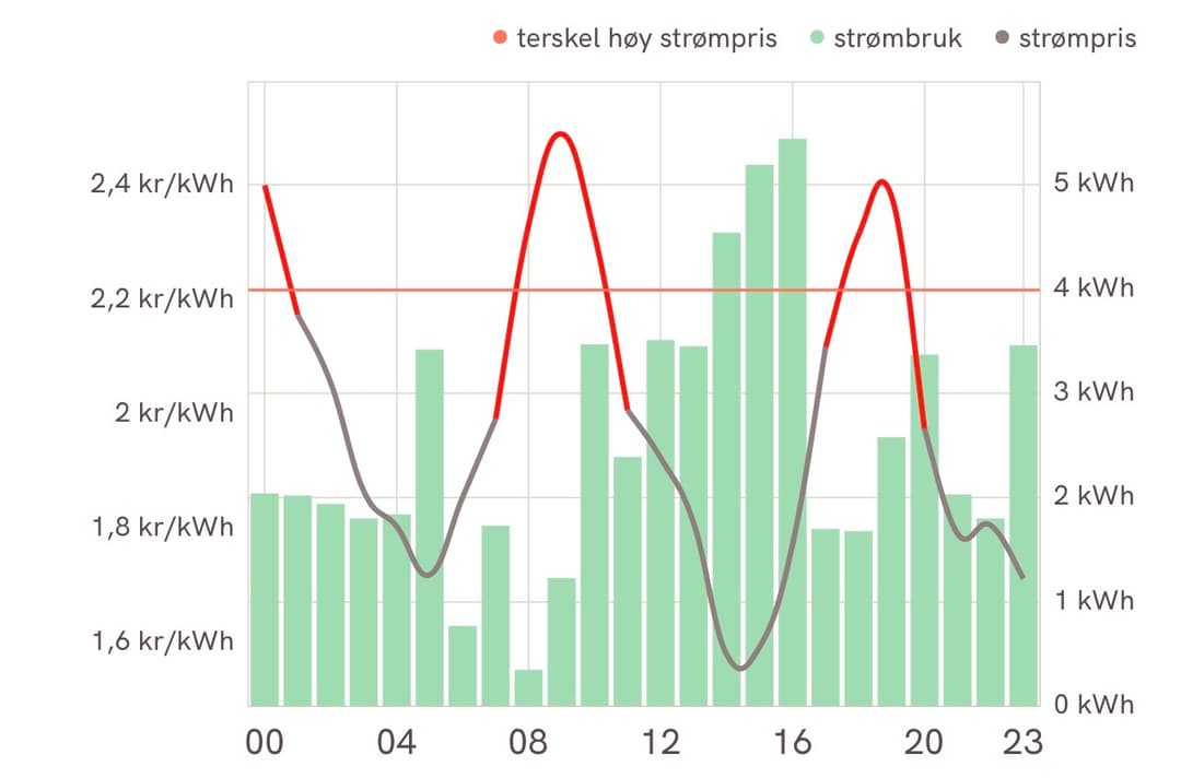 Forbruk styrt etter pris