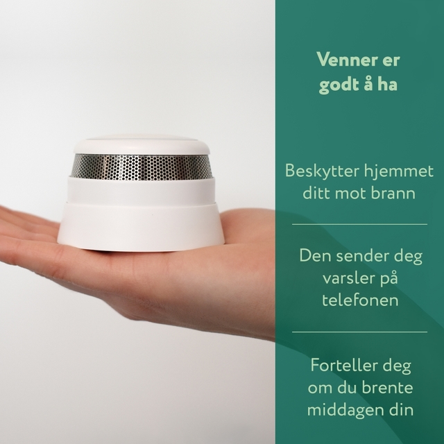 Frient smoke  alarm in a hand