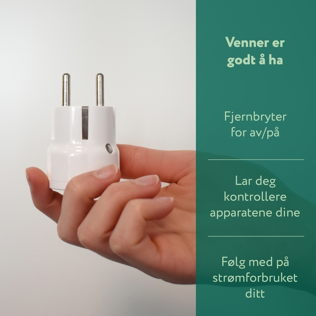 frient smart mini plug